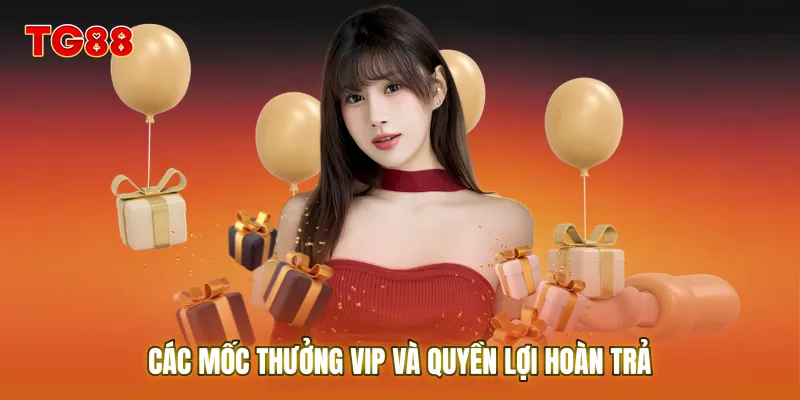 Các mốc thưởng VIP và quyền lợi hoàn trả tăng dần theo cấp độ thành viên.