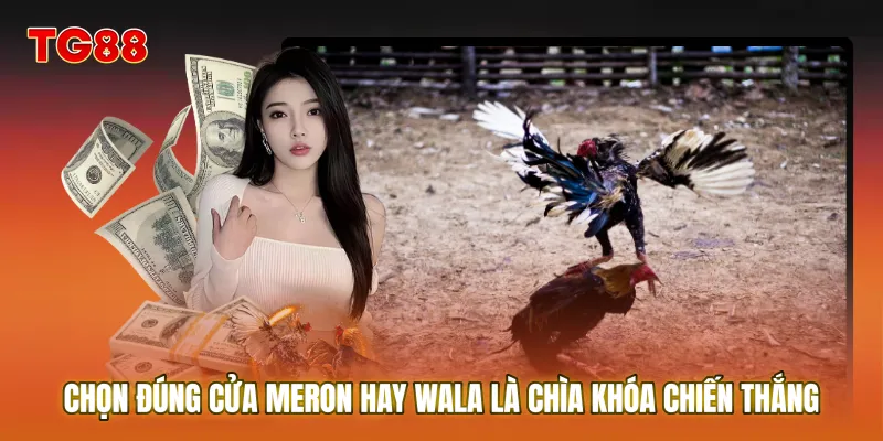Chọn đúng cửa Meron hay Wala là chìa khóa chiến thắng khi chơi Đá gà uy tín