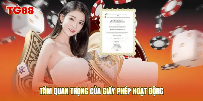 Tầm quan trọng của Giấy Phép Hoạt Động trong cá cược trực tuyến